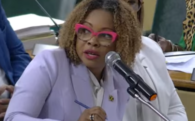 Laptop Programme being expanded to primary schools