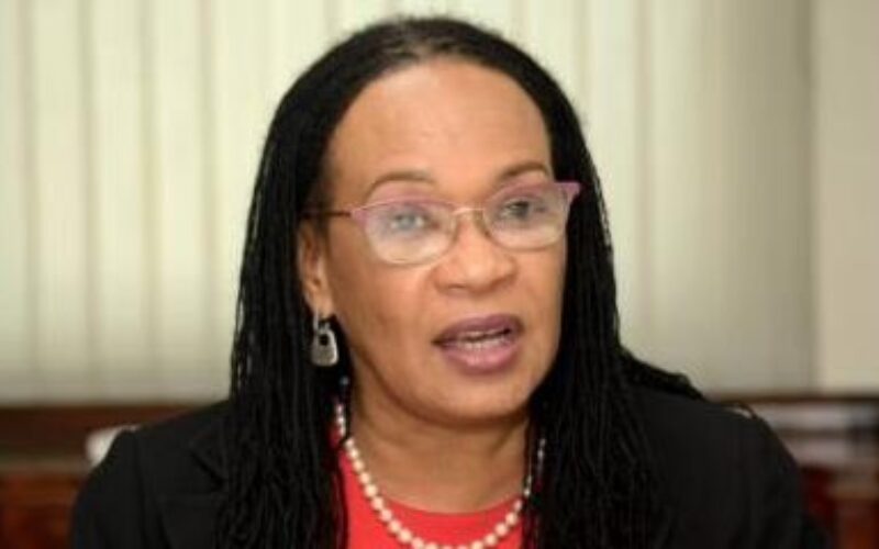 Opposition urges Jamaica not to only view Diaspora as source of remittances but as strategic partner in nation-building