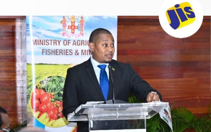 Tomato based juice being developed as part of nutritional offerings for school children