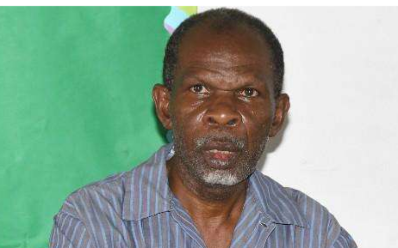 TODSS laments lack of security after Mandeville double murder