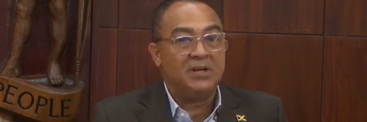 Health Minister says black river field hospital has seen about 50 patients so far