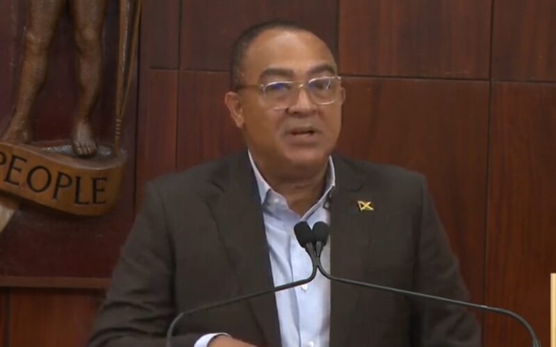 Health Minister says black river field hospital has seen about 50 patients so far