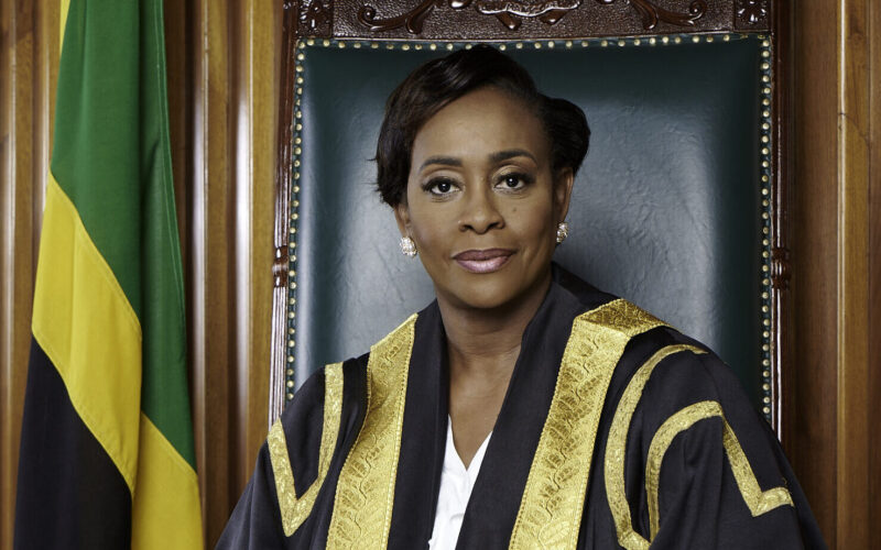 MPs urged to truly understand and act in their roles as advocates and decision makers