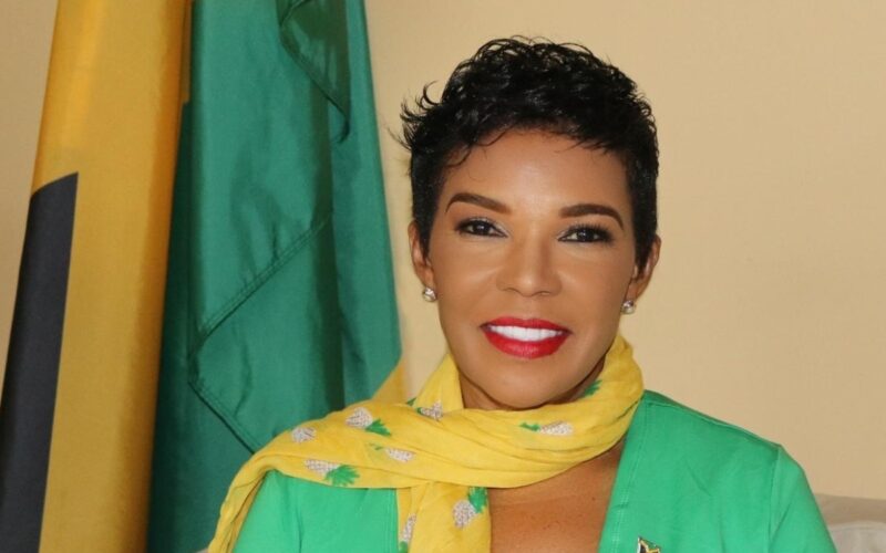 Efficiency Minister: Process to open bank account or register company to do business in Jamaica should not take more than 24 hours