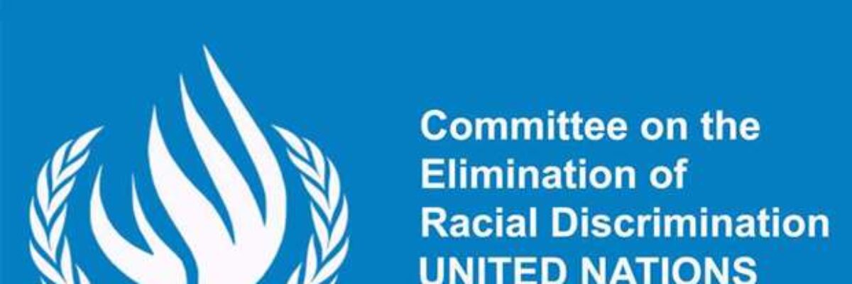 UN Committee concerned about alleged seizure of lumber in Quick Step last year