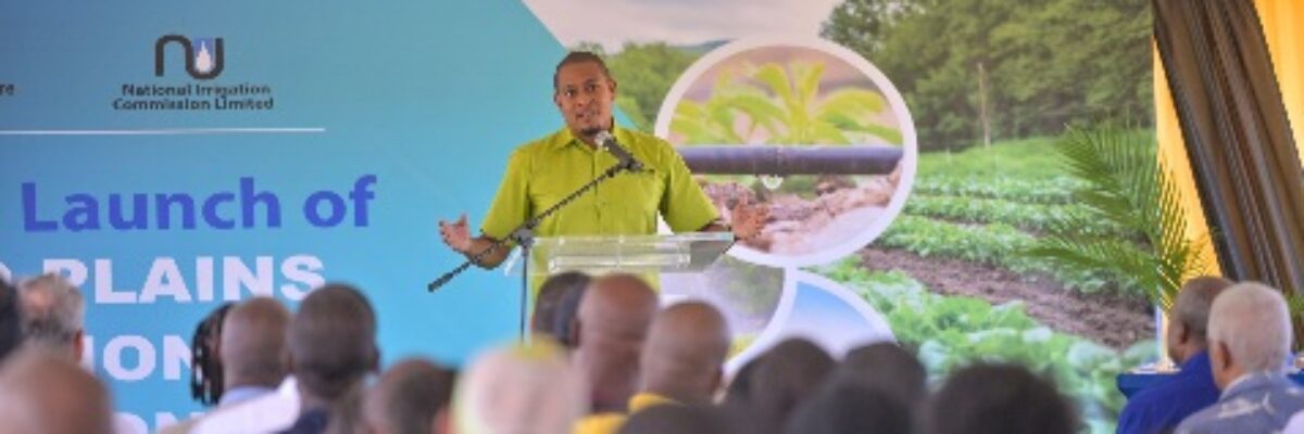 Persons occupying lands impacted by irrigation expansion project in Pedro Plains, St. Elizabeth to get titles free of cost