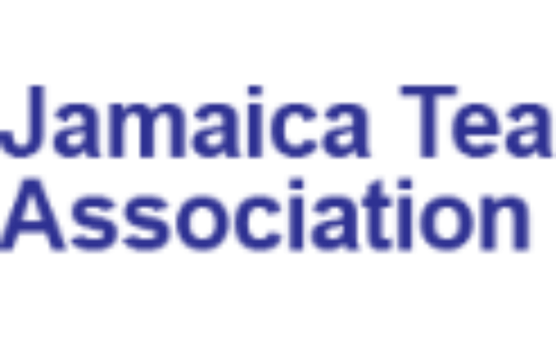 JTA issues directive to the Finance Ministry to immediately present an improved wage offer