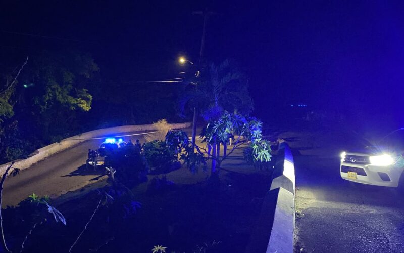 Two persons shot and killed in Mandeville last evening