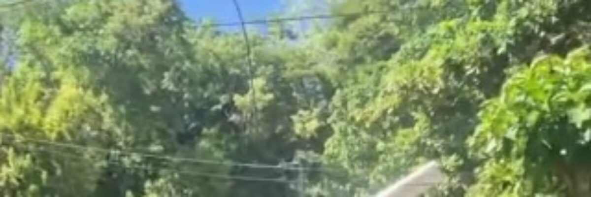 JABBEM again raises concern about citizens access rights to Belmont Cove (Little Dunns River)  