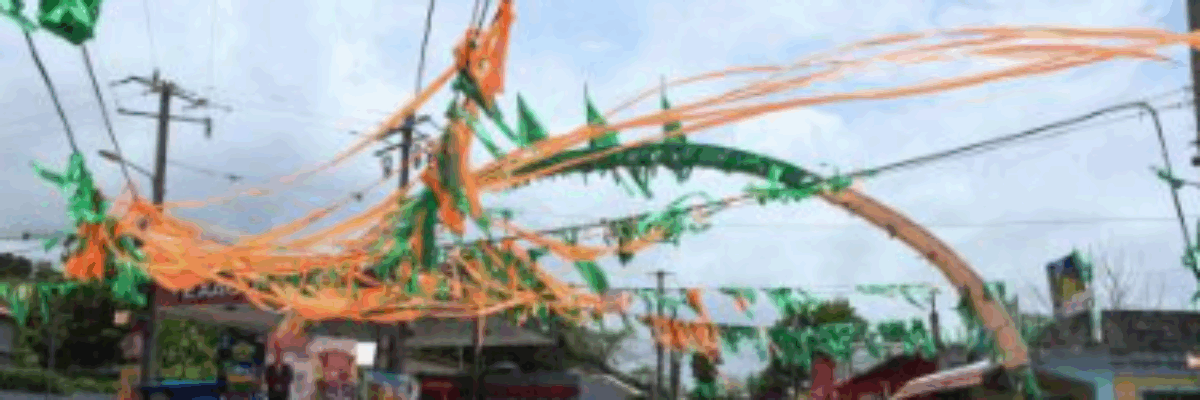 Political Ombudsman warns that political stakeholders who fail to clean up campaign materials by September 17 may face fines or prosecution