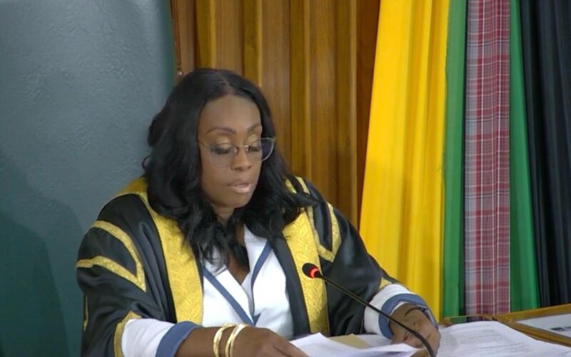 House Speaker Juliet Holness calls on MPs to respect the authority of the house following mace incident