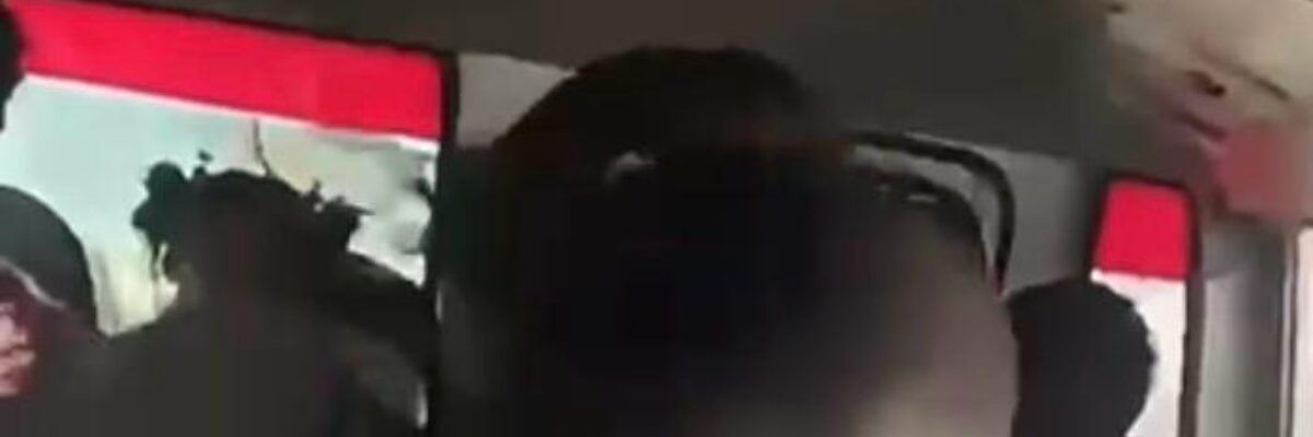 Transport Authority launches probe into incident involving female student and bus conductor on  public passenger vehicle