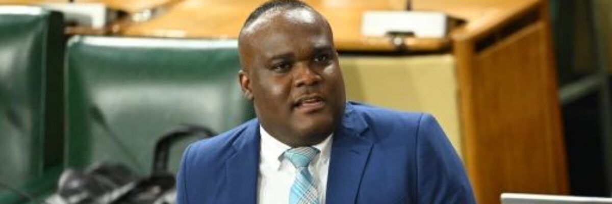 Government Senator supports retention of jury system