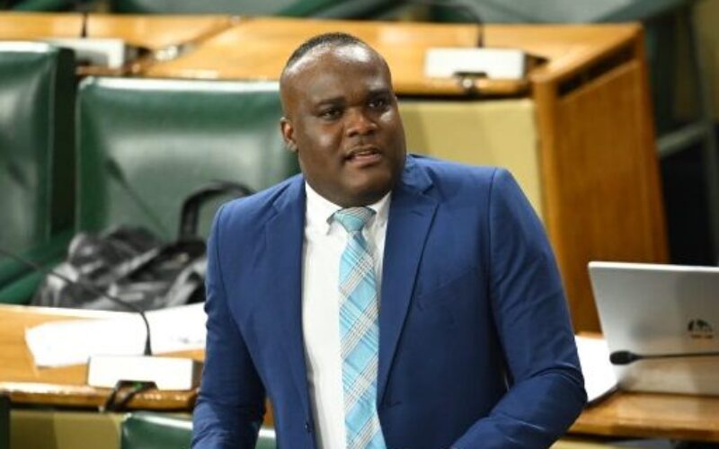 Government Senator supports retention of jury system