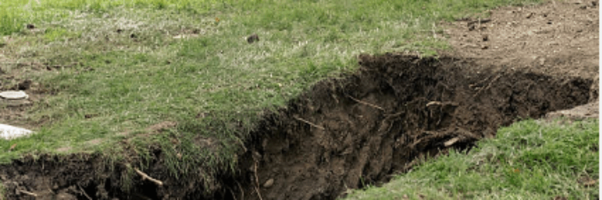 Body of missing St. Andrew farmer found in shallow grave
