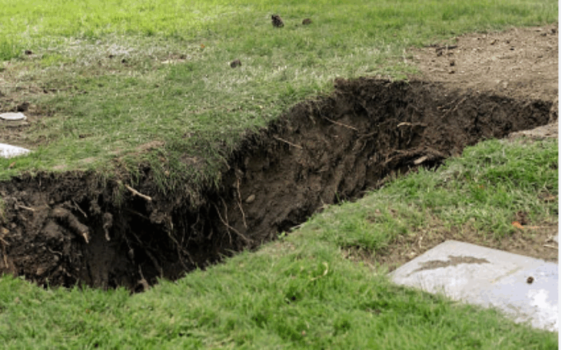 Body of missing St. Andrew farmer found in shallow grave