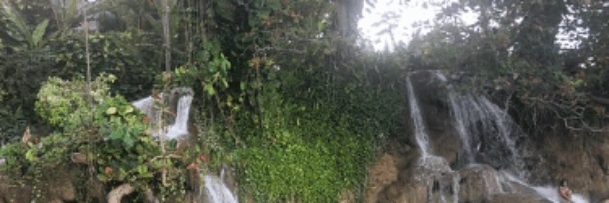 UDC, JABBEM to discuss prescriptive rights in push for full public access to Little Dunn’s River