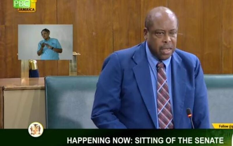 Opposition Senator says residents of Portmore have needs more pressing than parish status