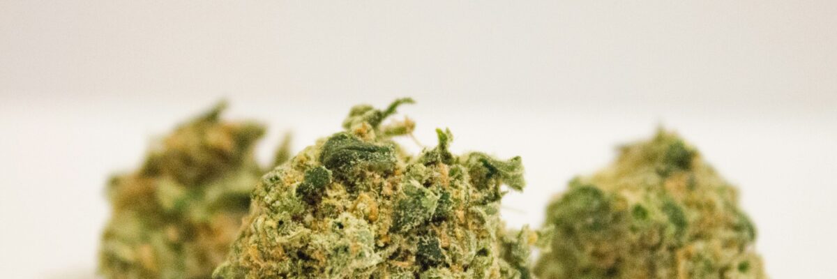 Police charge 4 men in connection with the seizure of over 2,000 pounds of ganja during joint police/military operation in Alligator Pond, St. Elizabeth