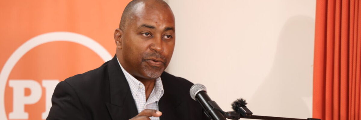 PNP says it has no intention to impose new taxes to fund its programmes