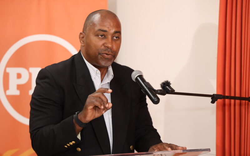 PNP says it has no intention to impose new taxes to fund its programmes