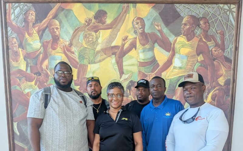 Second set of Caribbean linemen arrives in island to assist with power restoration