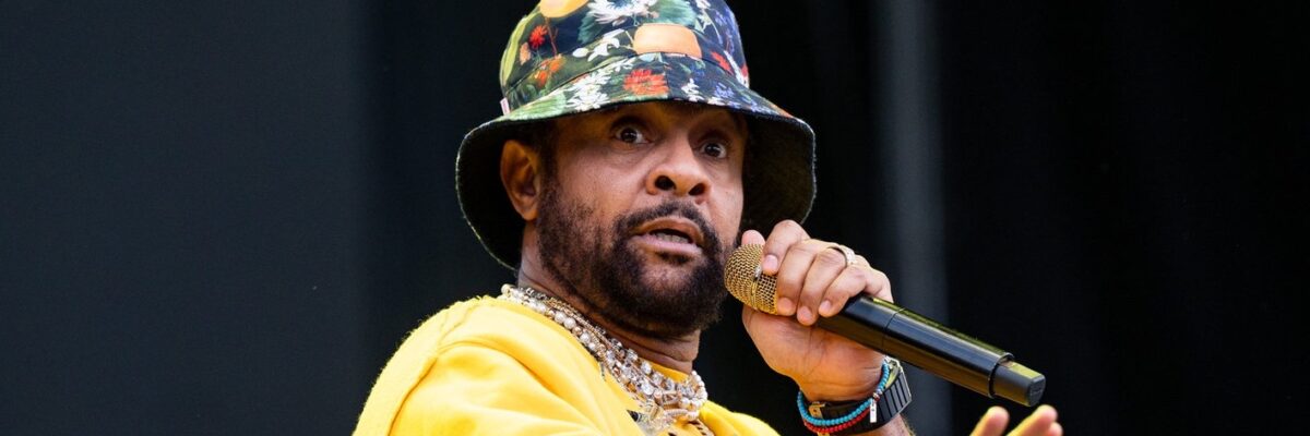 Shaggy reveals conversation with Moliy after “Shake It To The Max” remarks
