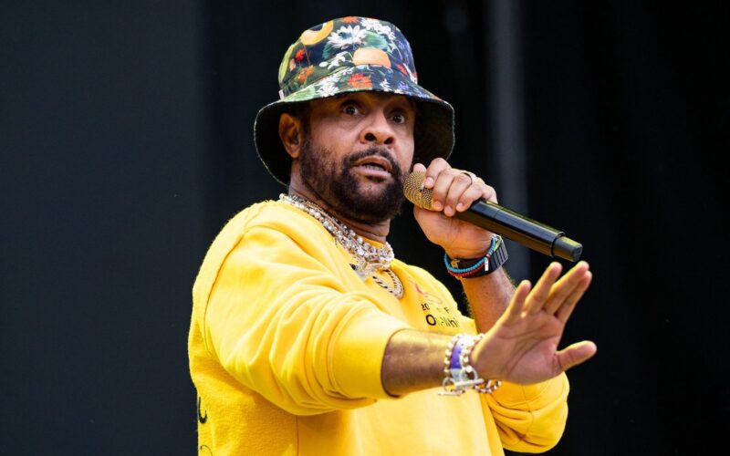 Shaggy reveals conversation with Moliy after “Shake It To The Max” remarks
