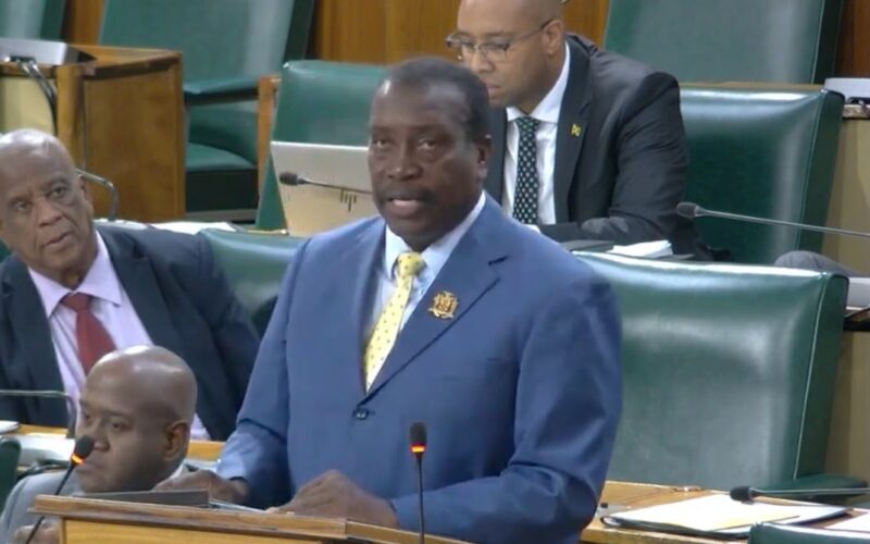 Gov’t appeals for patience from Hurricane Melissa victims still awaiting modular container homes