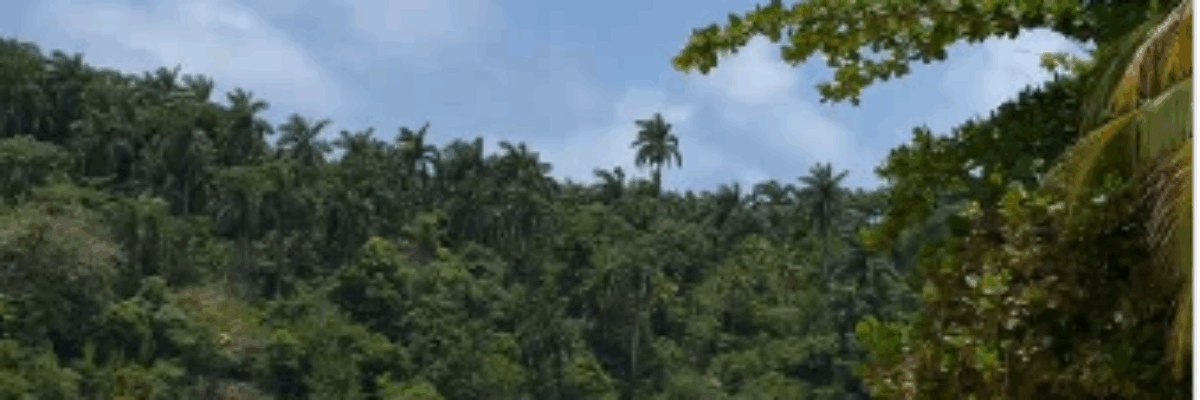 Police probe suspected drowning of Titchfield High student in Portland