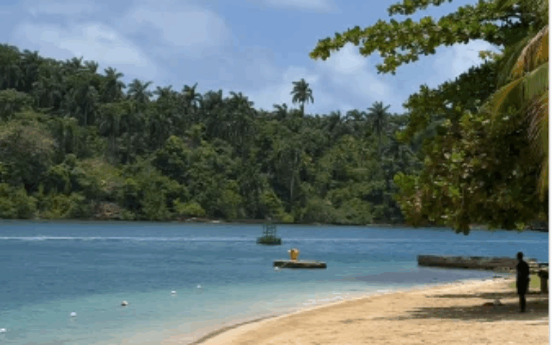 Police probe suspected drowning of Titchfield High student in Portland