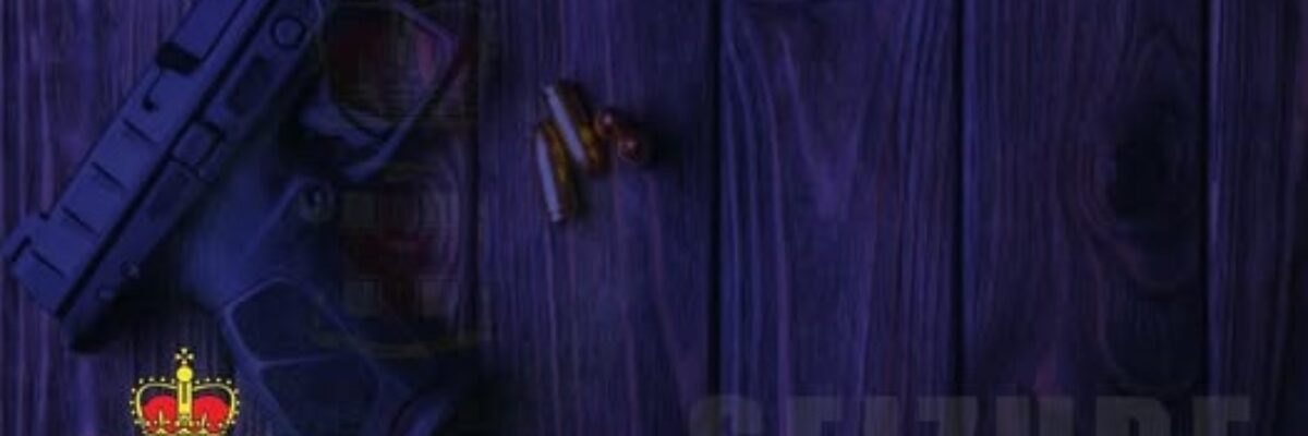 Over 20 firearms seized by Manchester Police since start of year