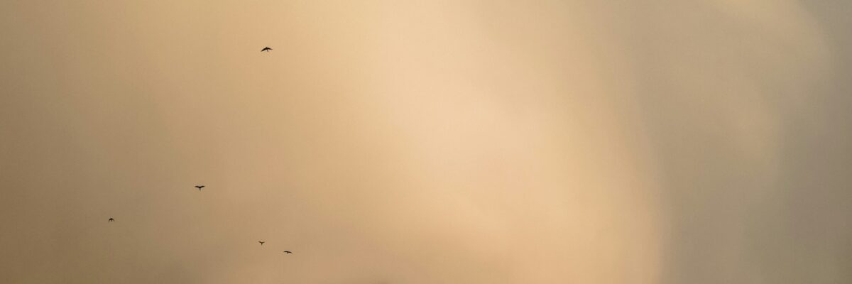 Health Ministry urges the public to reduce exposure to Saharan dust which is affecting the island