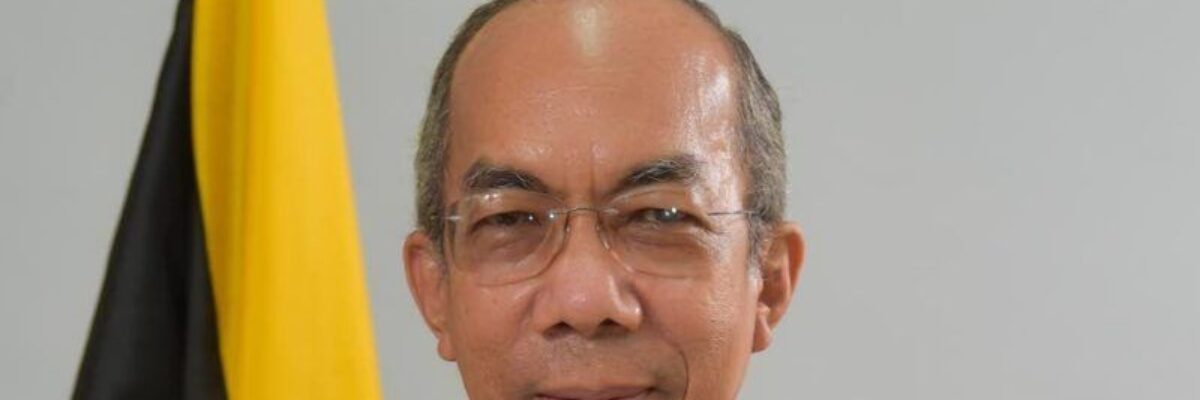 Security Minister Dr. Horace Chang says while there is room for improvement, Jamaicans should feel safer