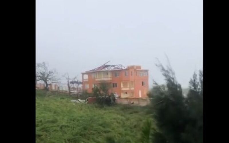 Trail of destruction in south St. Elizabeth following passage of Beryl