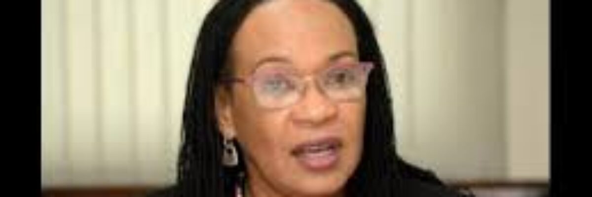 PNP concerned about Chuck’s comments regarding Political Ombudsman