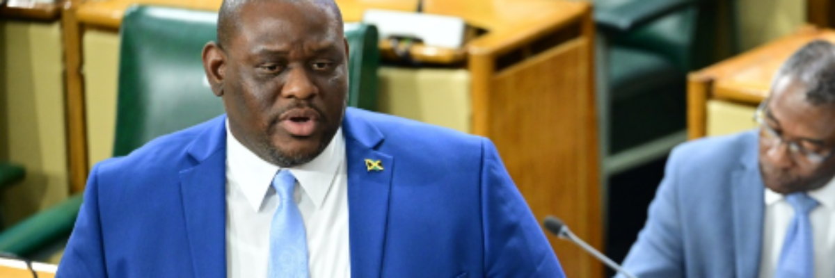Morgan accuses Opposition of fear-mongering over TCN agreement