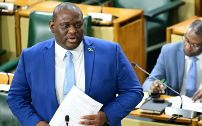 Morgan accuses Opposition of fear-mongering over TCN agreement