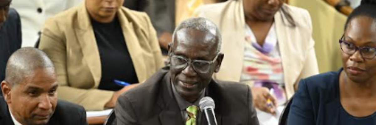 Local Government Minister Desmond McKenzie says NSWMA addressing garbage backlog