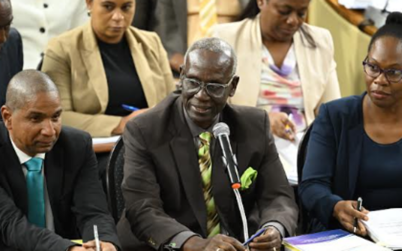 Local Government Minister Desmond McKenzie says NSWMA addressing garbage backlog