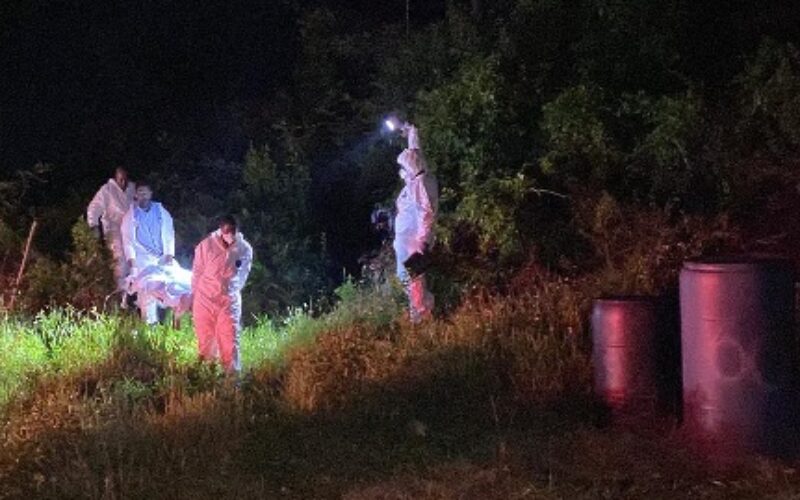 Decomposing body of man found in Mandeville