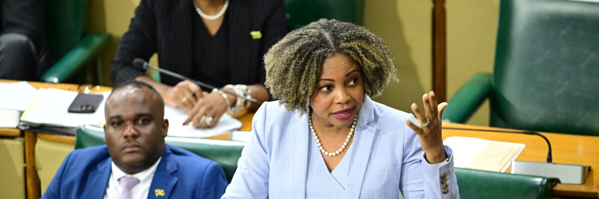 Information Minister says road clearing and communication network restoration efforts steadily advancing