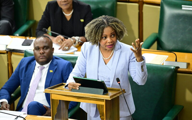 Information Minister says road clearing and communication network restoration efforts steadily advancing