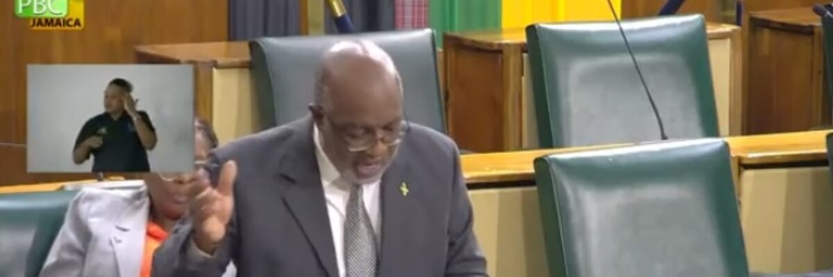 Jackson pledges that next PNP government will accelerate use of body cameras by police