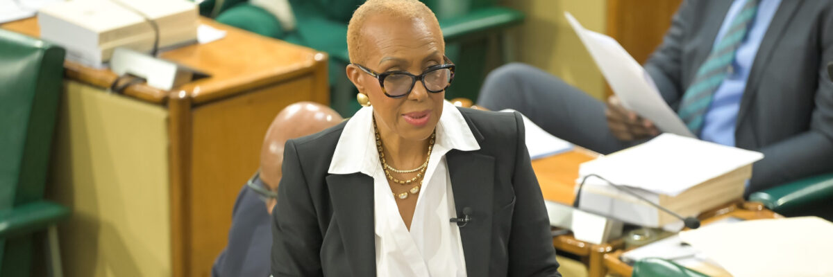 Gov’t working to strengthen disaster risk financing instruments to safeguard against uncertainties of natural disasters – Williams