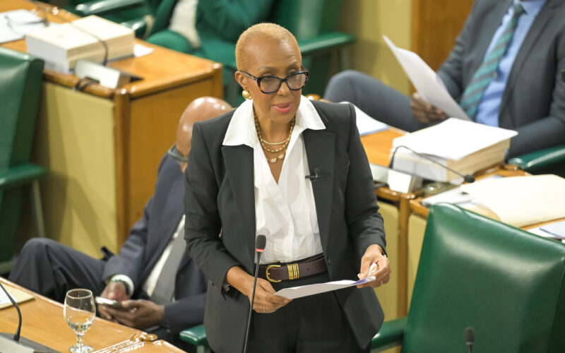 Gov’t working to strengthen disaster risk financing instruments to safeguard against uncertainties of natural disasters – Williams