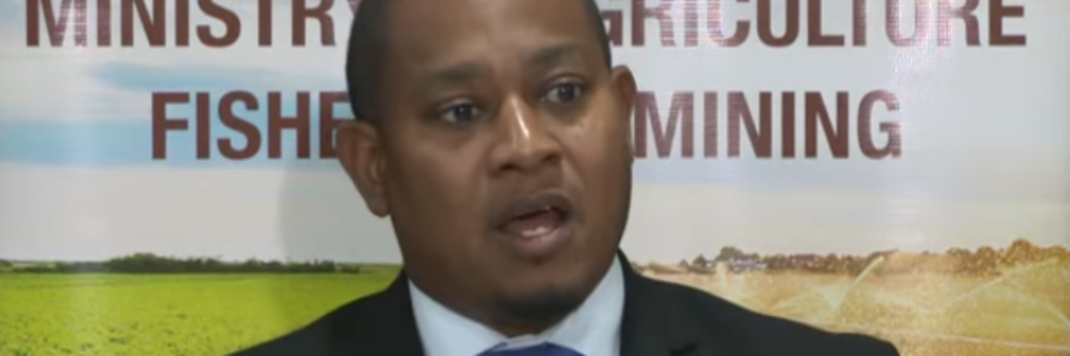 Farmers being affected by excess production in some crops, says Green