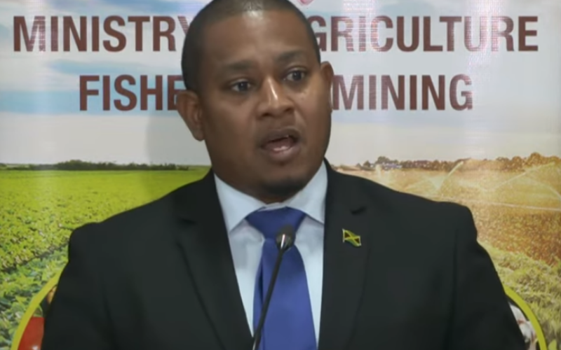 Farmers being affected by excess production in some crops, says Green