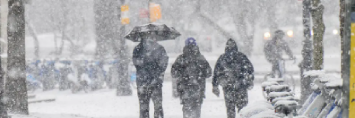 Some Jamaicans in the US report disruptions amid severe winter storm