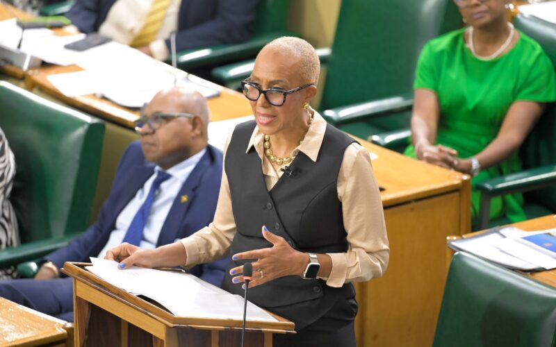 Finance Ministry to host public meeting with small businesses on Set-Aside initiative